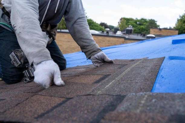Quick and Trustworthy Emergency Roof Repair Services in Palmyra, NJ