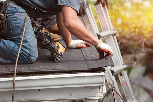Best Storm Damage Roof Repair  in Palmyra, NJ