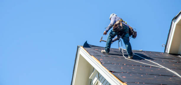 Best Roof Replacement Cost  in Palmyra, NJ